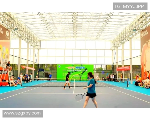 成都网球队技术揭秘：网球巨献背后的训练与策略探索